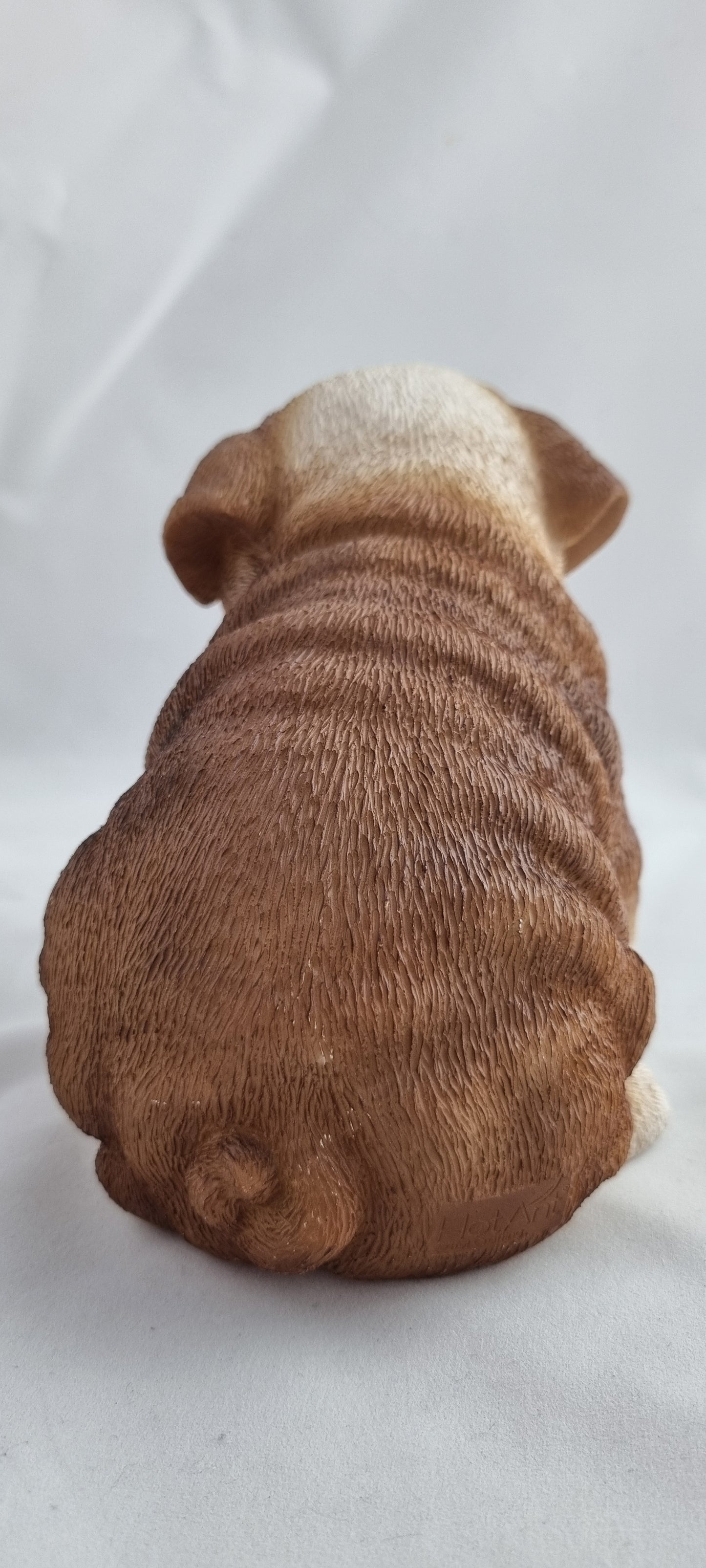 Welpe englische Bulldoge