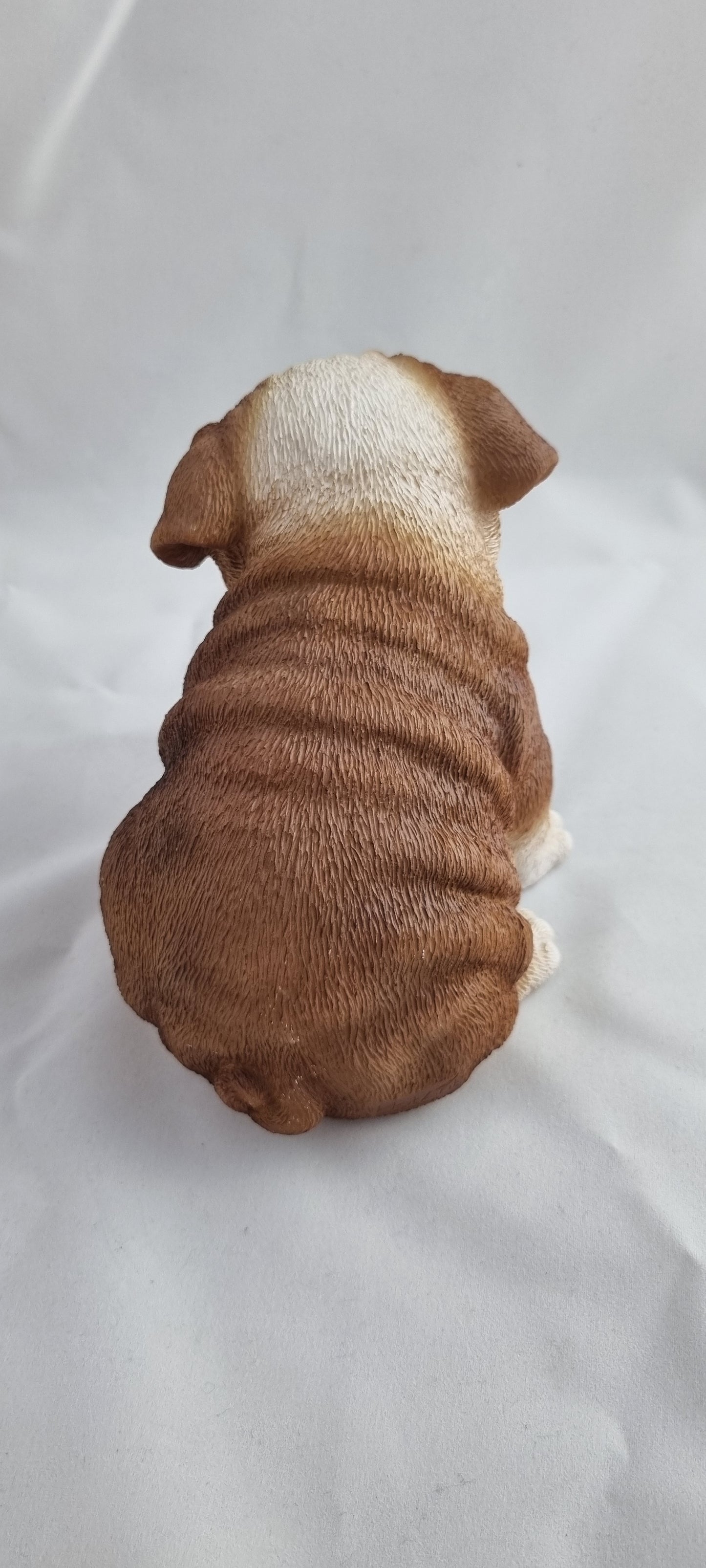 Welpe englische Bulldoge