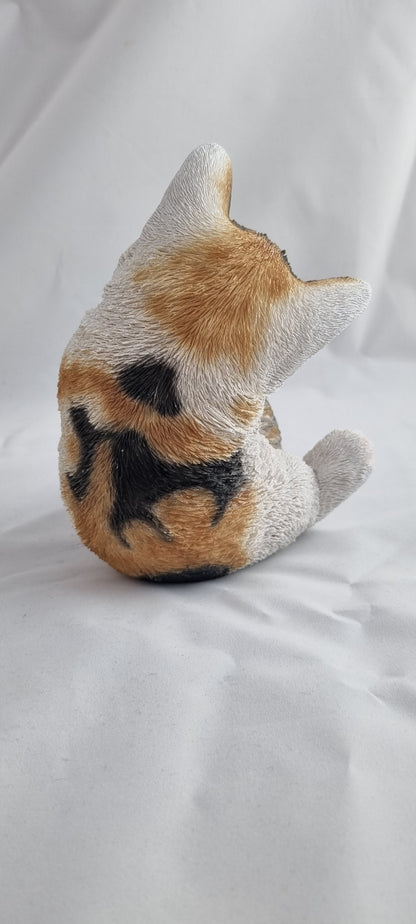 Katze, klein, spielend
