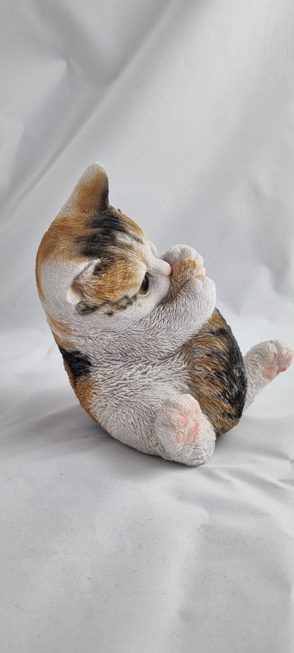 Katze, klein, spielend
