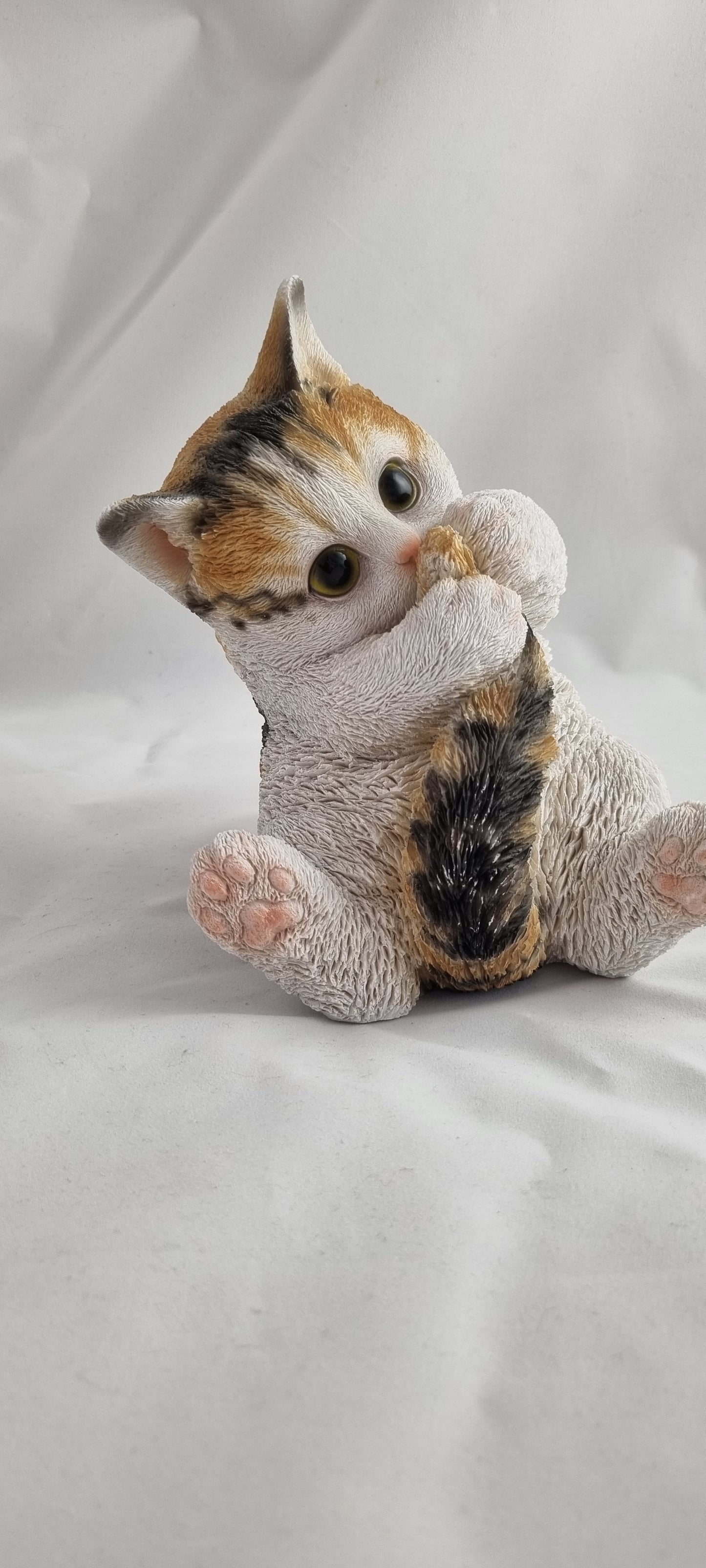 Katze, klein, spielend