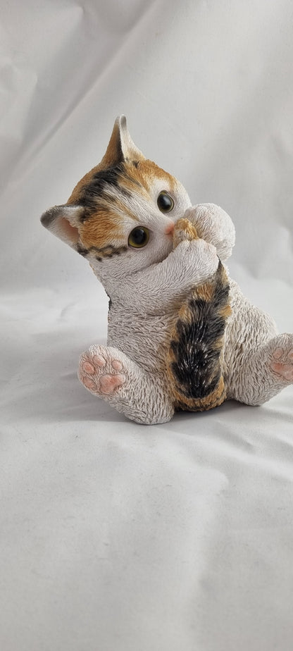 Katze, klein, spielend